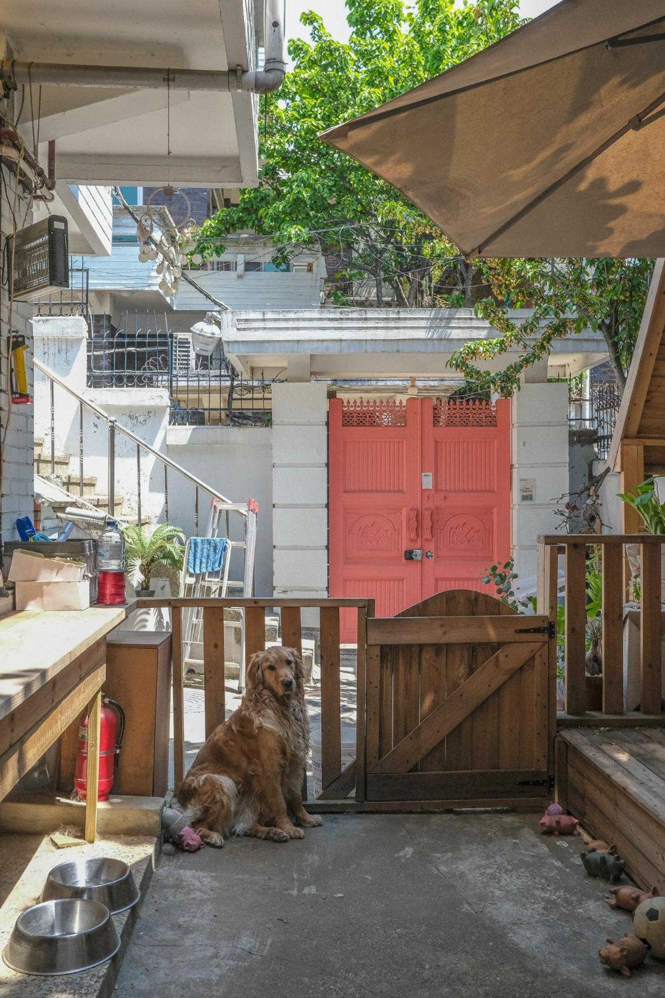 Helloworld Guesthouse ソウル特別市 エクステリア 写真